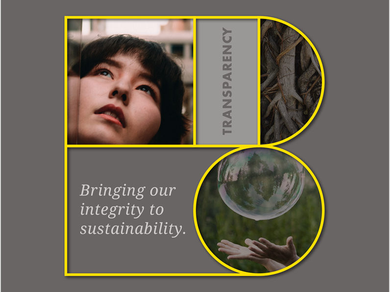banner - transparency of sustainability activities